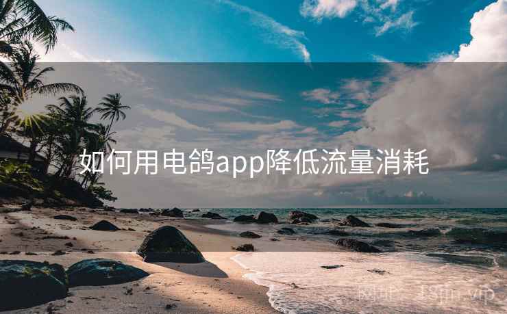 如何用电鸽app降低流量消耗