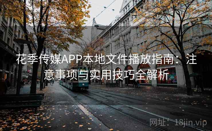 花季传媒APP本地文件播放指南:注意事项与实用技巧全解析 花季传媒APP本地文件播放指南:注意事项与实用技巧全解析