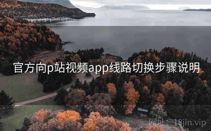 官方向p站视频app线路切换步骤说明